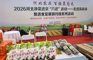 Apa yang memungkinkan bihun ubi jalar dan pati dari Lulong, Hebei, menjangkau pasar di Korea Selatan, Vietnam, dan Australia?