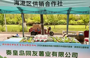 Bosan dengan Tepung Ubi Jalar Campuran? Kunjungi Tongyou di Pameran 2026