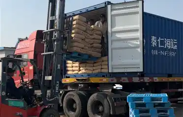 Mengapa Pembeli Korea Selatan Mengimpor Tepung Ubi Jalar dari Lulong? Sekilas Proses Pemuatan dan Pengiriman di Industri Kentang Tongyou